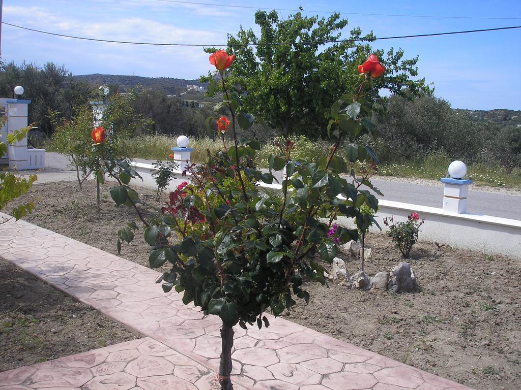 Apartament Nephele *